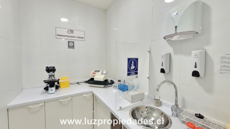 Maximiliano Uribe N&Acirc;&deg;1034, planta baja, Portal del Mar - Luz Propiedades