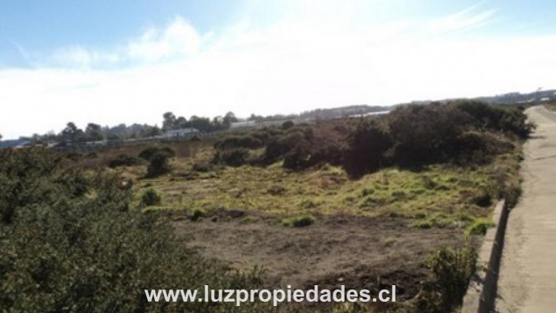 Centro Empresarial Husamontt. Camino al Aeropuerto. - Luz Propiedades