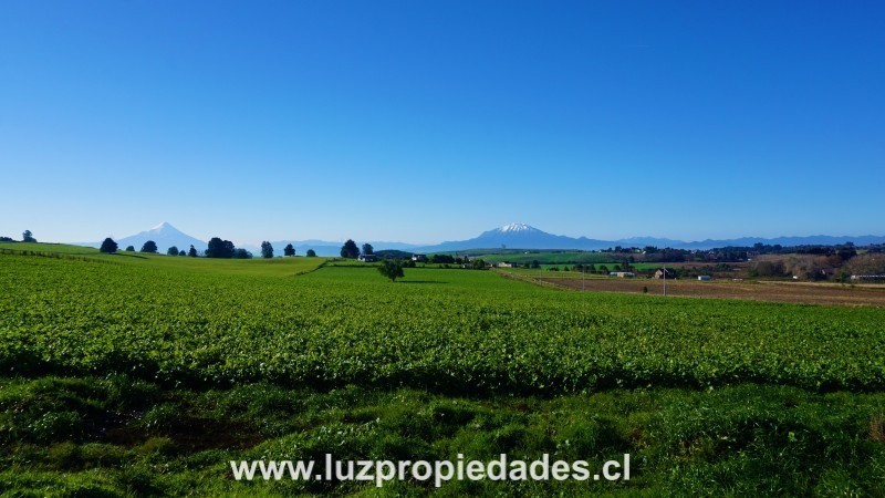 L&Atilde;&shy;nea Nueva, Parcelaci&Atilde;&sup3;n Los Laureles del Maull&Atilde;&shy;n, Parcela B10 - Luz Propiedades