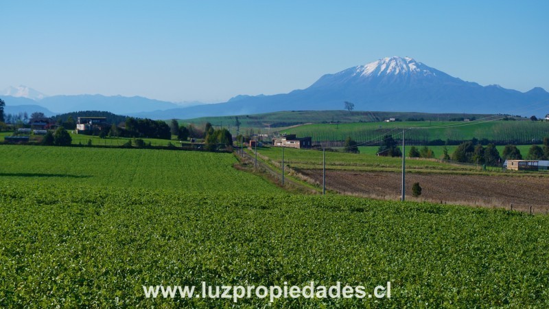 L&Atilde;&shy;nea Nueva, Parcelaci&Atilde;&sup3;n Los Laureles del Maull&Atilde;&shy;n - Luz Propiedades