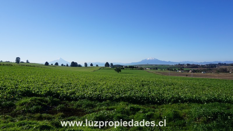 L&Atilde;&shy;nea Nueva, Parcelaci&Atilde;&sup3;n Los Laureles del Maull&Atilde;&shy;n - Luz Propiedades
