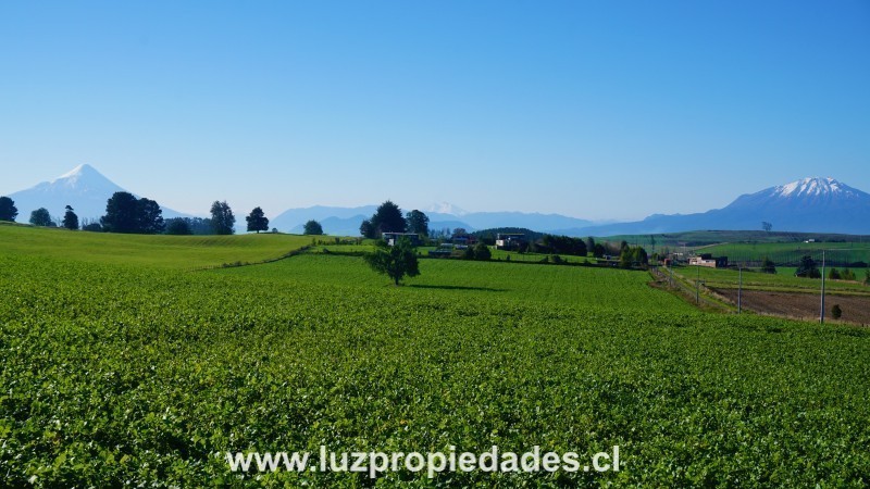 L&Atilde;&shy;nea Nueva, Parcelaci&Atilde;&sup3;n Los Laureles del Maull&Atilde;&shy;n - Luz Propiedades
