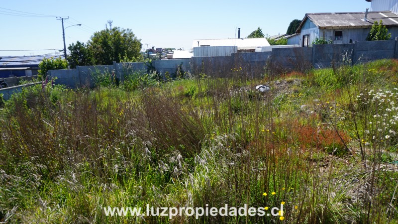 Calle Oberreuter  N&Acirc;&deg; 142 - Luz Propiedades