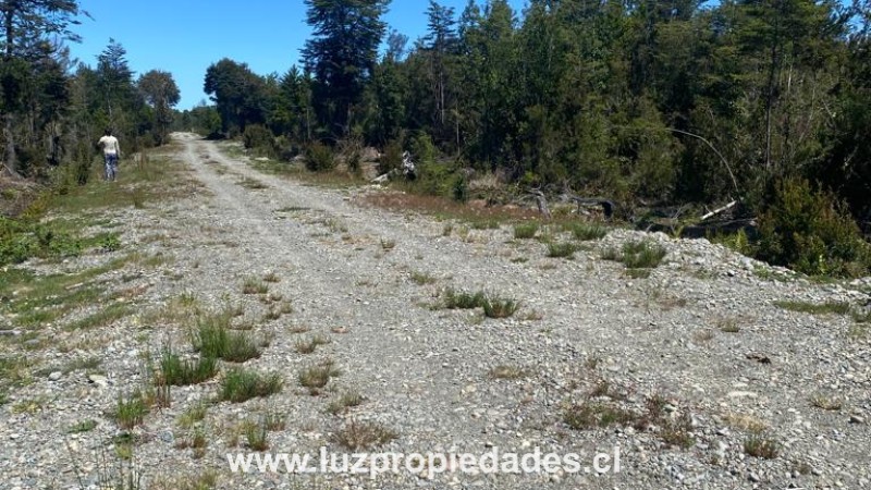 Camino al Tepual Km 9,4 Interior, Eco Parque Alto las Lomas - Luz Propiedades