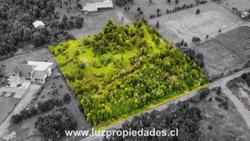Carretera Austral KM 19, Sector Pichi Quillaipe - Luz Propiedades