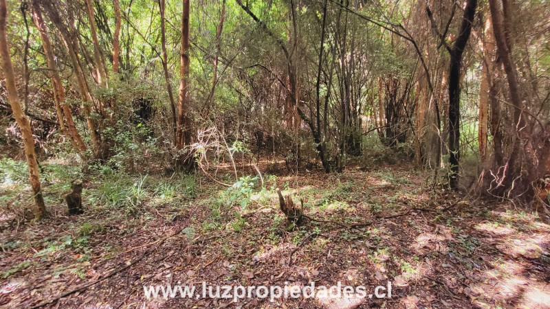 Club de Campo Residencial, lote 3, Parcela 166, Puerto Varas - Luz Propiedades