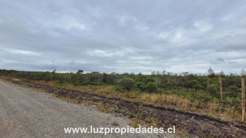 Fundo los Coihues, Lote 18, Chaqueihua - Luz Propiedades
