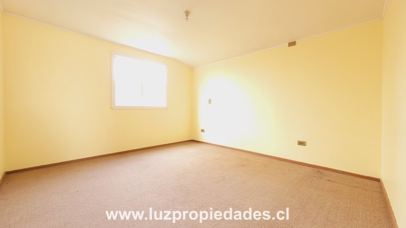 Horacio Echegoyen N&Acirc;&deg;1944, Artesanos de Alerce II - Luz Propiedades