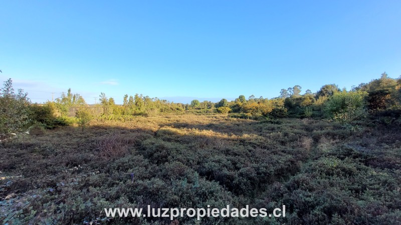 La Goleta Lote A y B, Chinquihue Alto - Luz Propiedades