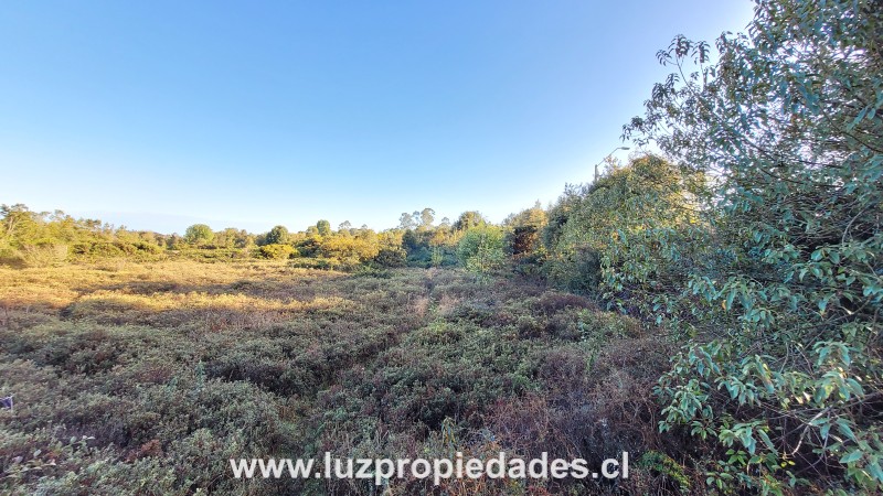 La Goleta Lote A y B, Chinquihue Alto - Luz Propiedades