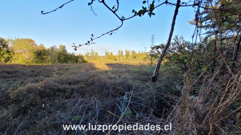 La Goleta Lote A y B, Chinquihue Alto - Luz Propiedades