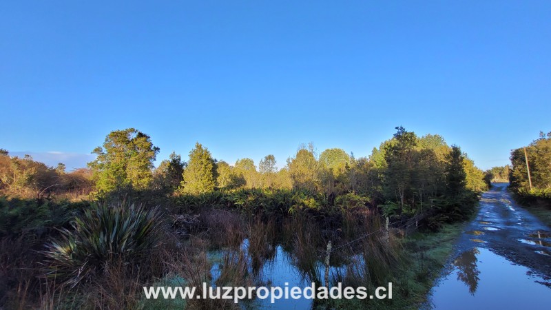La Goleta Lote A y B, Chinquihue Alto - Luz Propiedades