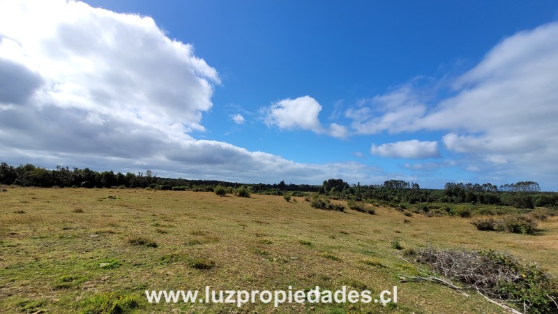 Las Canchas Km 7 - Luz Propiedades