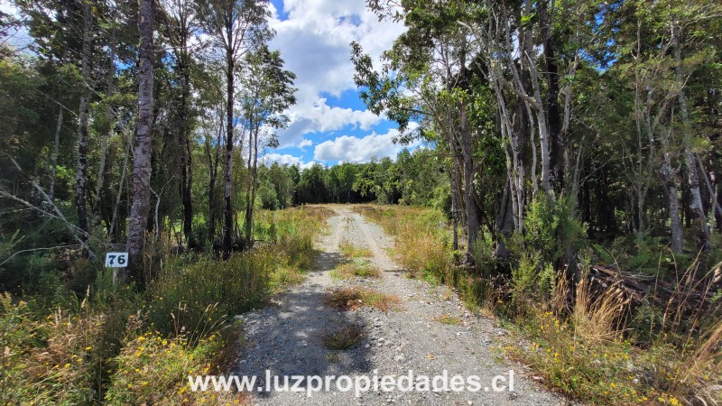 Lomas de Monte Verde, Parcela N&Acirc;&deg;76, Salto chico camino a Pargua - Luz Propiedades