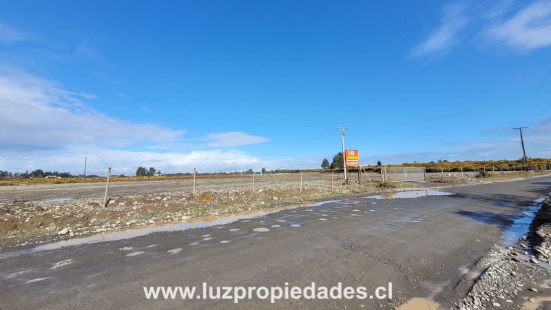 Lotes de Hijuelas, sector Las Canchas - Luz Propiedades