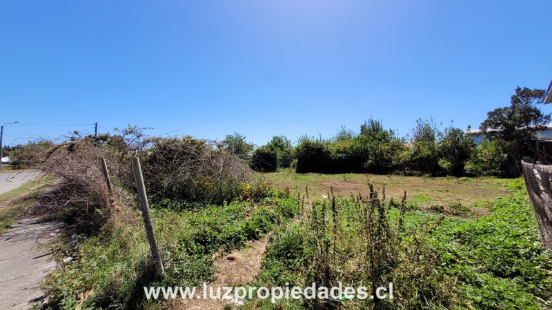 Pablo Neruda N&Acirc;&deg;6, Manzana N&Acirc;&deg;17,  Alerce Hist&Atilde;&sup3;rico - Luz Propiedades