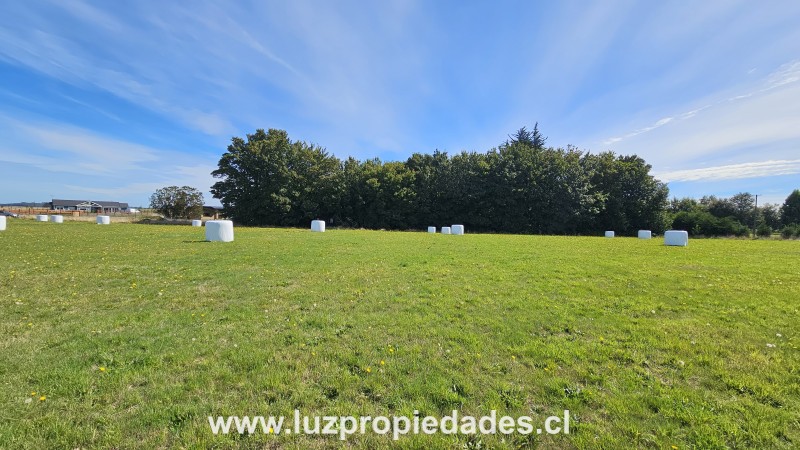 Parcelaci&Atilde;&sup3;n Lomas del Sur , P- 20, Puerto Varas - Luz Propiedades