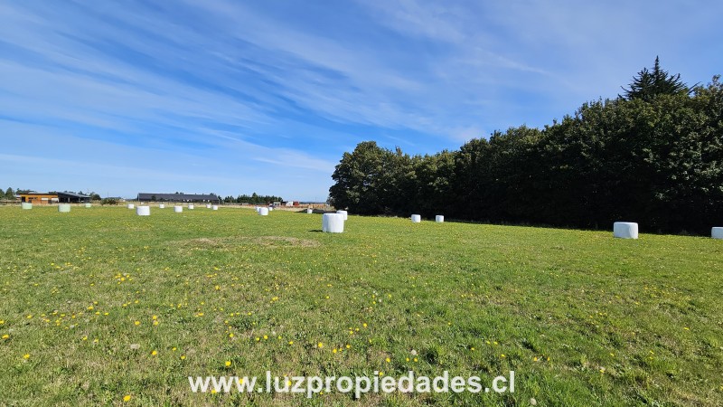 Parcelaci&Atilde;&sup3;n Lomas del Sur , P- 20, Puerto Varas - Luz Propiedades