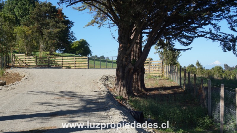 Parcelas Do&Atilde;&plusmn;a Ana, sector Trapen - Luz Propiedades