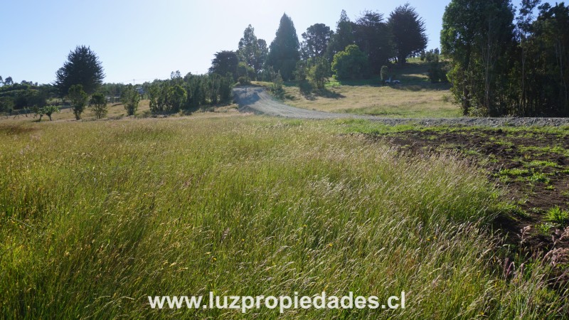 Parcelas Do&Atilde;&plusmn;a Ana, sector Trapen - Luz Propiedades