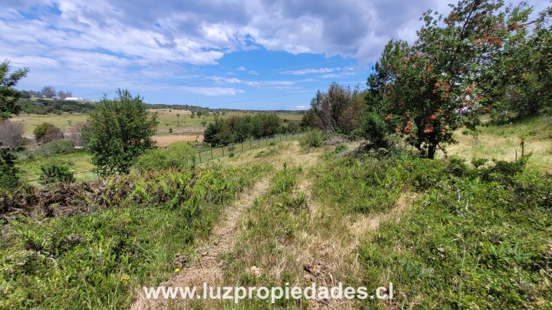 Prolongaci&Atilde;&sup3;n Sargento Silva, Loteo los Ulmos,  P-46 - Luz Propiedades