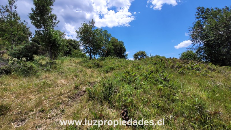 Prolongaci&Atilde;&sup3;n Sargento Silva, Loteo los Ulmos,  P-46 - Luz Propiedades