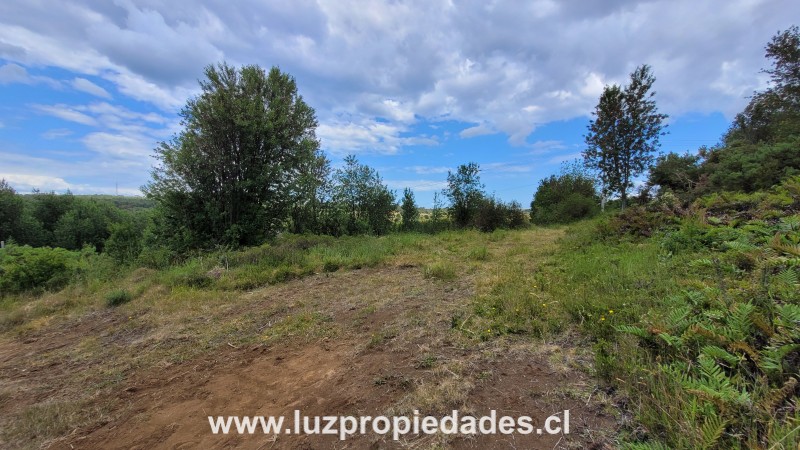 Prolongaci&Atilde;&sup3;n Sargento Silva, Loteo los Ulmos,  P-46 - Luz Propiedades