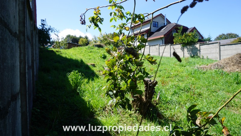  Rio Manhuico N&Acirc;&deg;1999, Sector Liborio Guerrero, Pelluco - Luz Propiedades