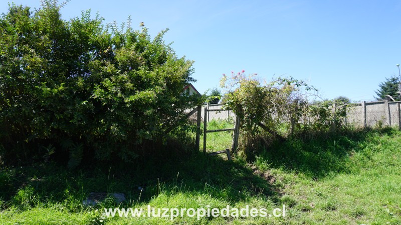  Rio Manhuico N&Acirc;&deg;1999, Sector Liborio Guerrero, Pelluco - Luz Propiedades