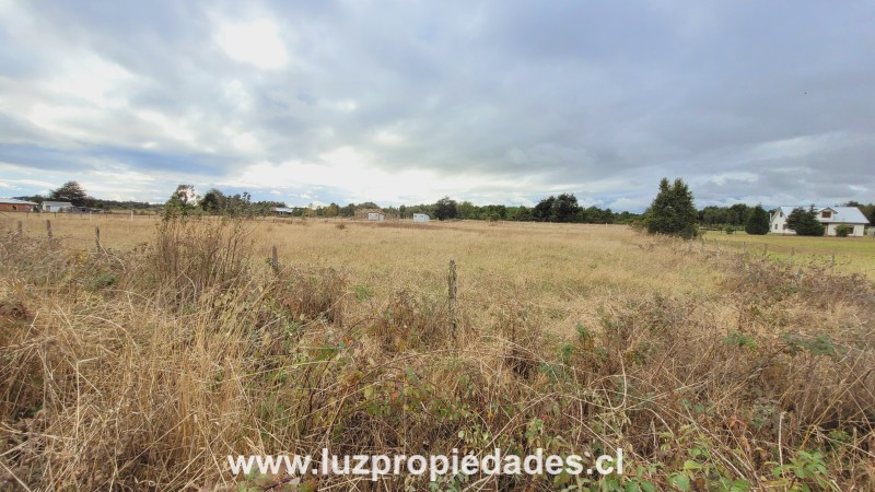 Rododendros S/N, Fundo Frutillar, Parcela N&Acirc;&deg;134, Frutillar - Luz Propiedades