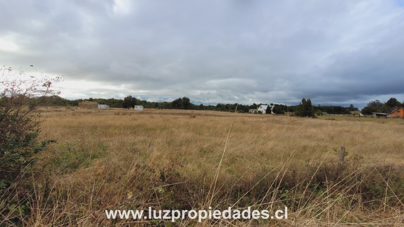 Rododendros S/N, Fundo Frutillar, Parcela N&Acirc;&deg;134, Frutillar - Luz Propiedades