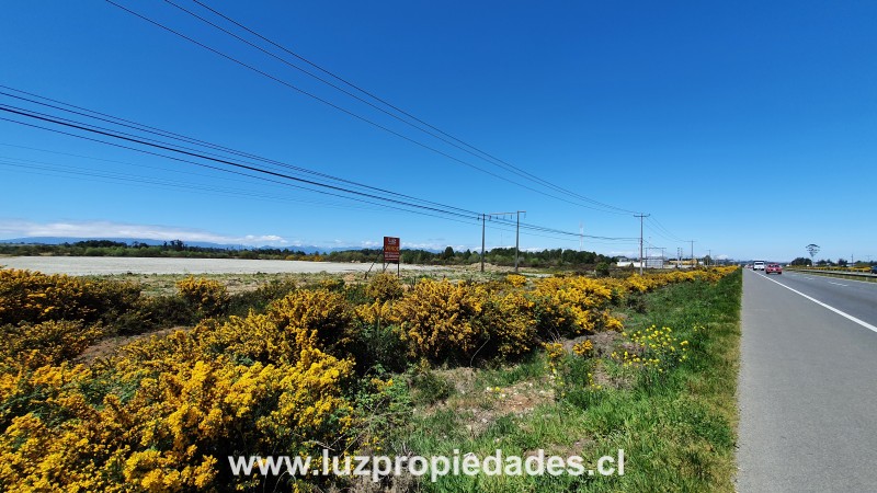 Ruta 5 sur, sector Sangra - Luz Propiedades