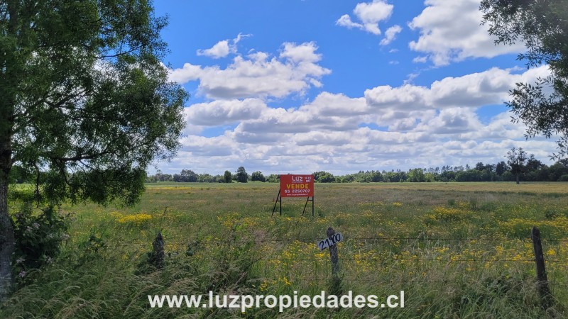 Sector las Quemas Lote N&Acirc;&deg;168 - Luz Propiedades