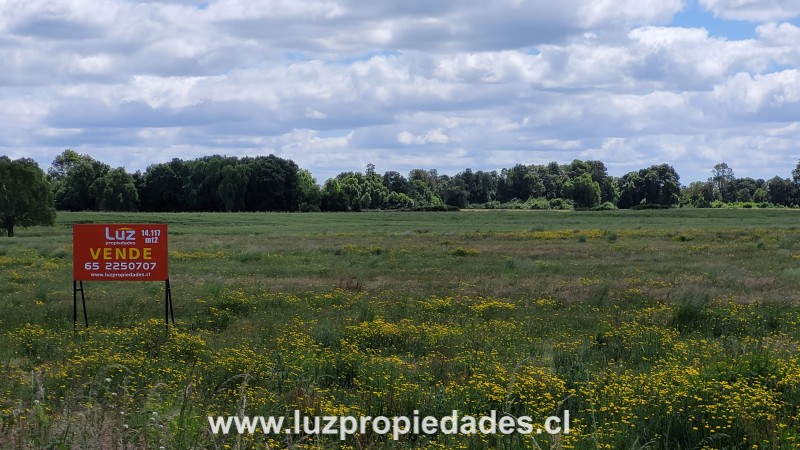 Sector las Quemas Lote N&Acirc;&deg;168 - Luz Propiedades