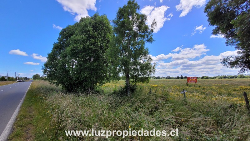 Sector las Quemas Lote N&Acirc;&deg;169 - Luz Propiedades