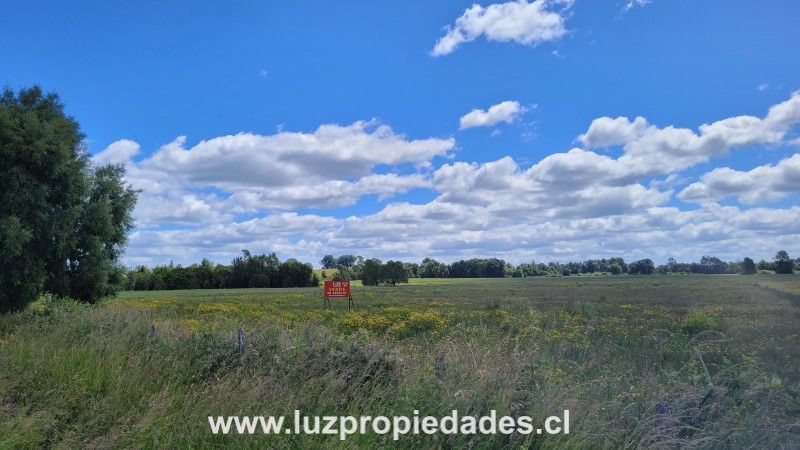 Sector las Quemas Lote N&Acirc;&deg;169 - Luz Propiedades